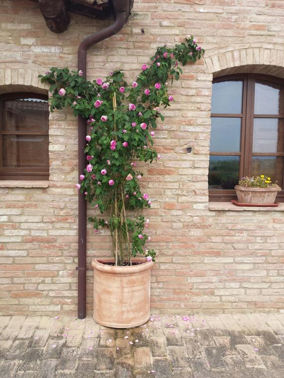 Agriturismo San Pierino Monteroni dʼArbia Exteriör bild